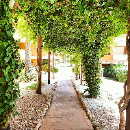 La Entrada Beach Club Торрев'єха Екстер'єр фото