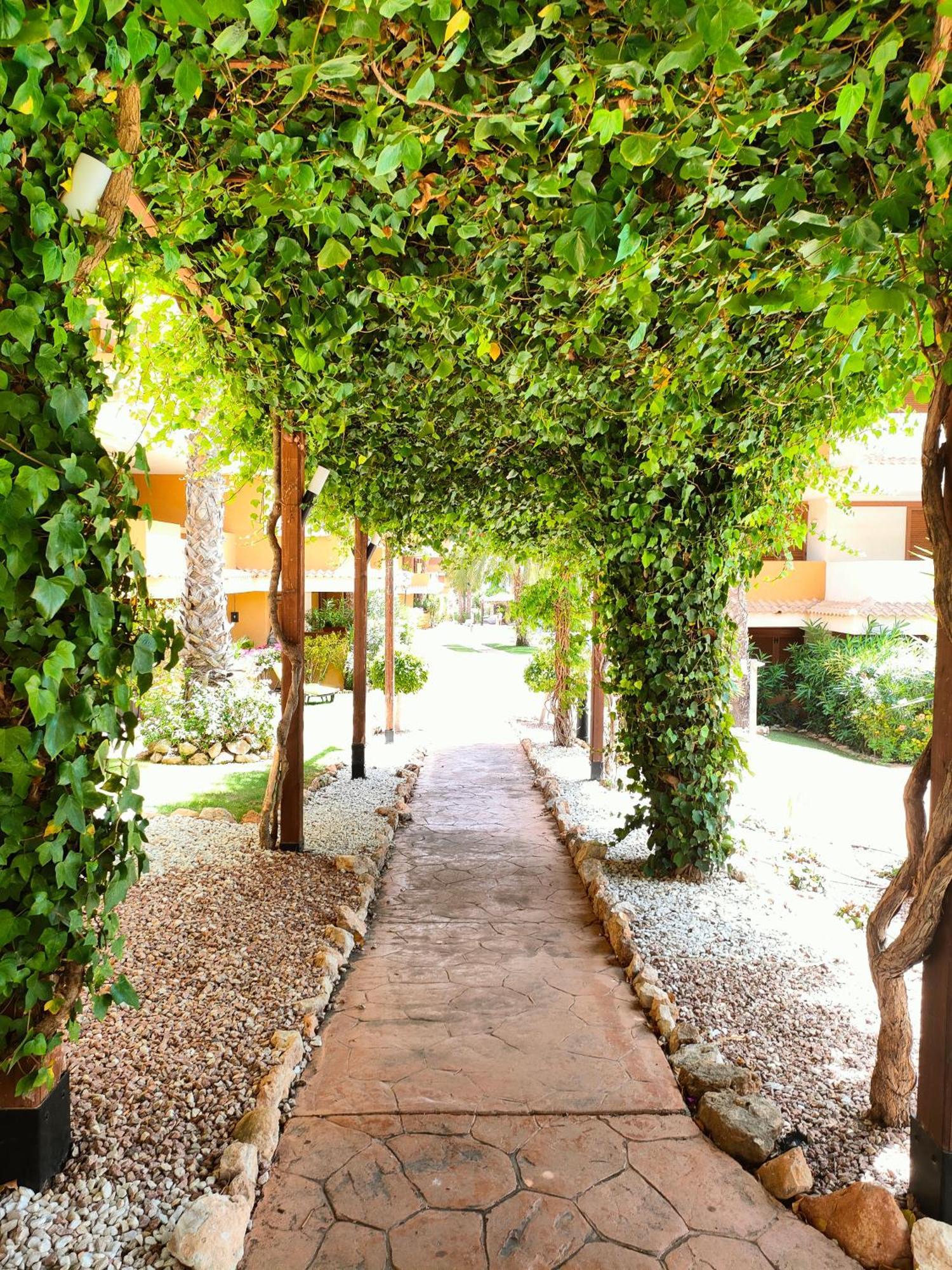 La Entrada Beach Club Торрев'єха Екстер'єр фото